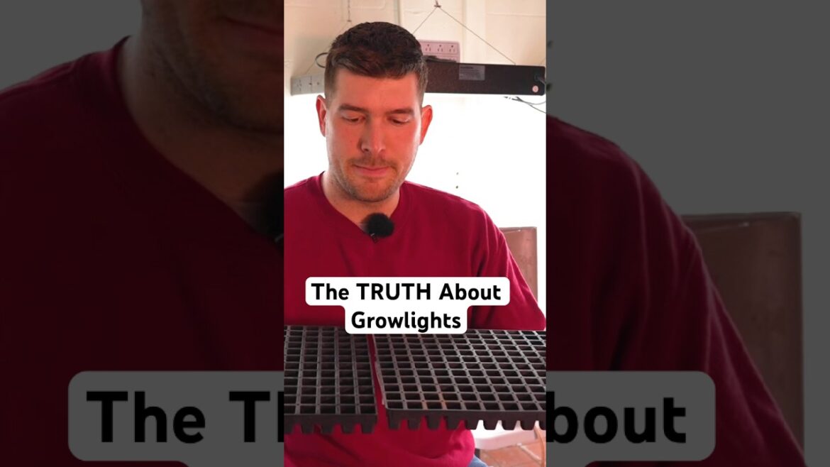 Don’t Be FOOLED Into Believing This Lie About Growlights