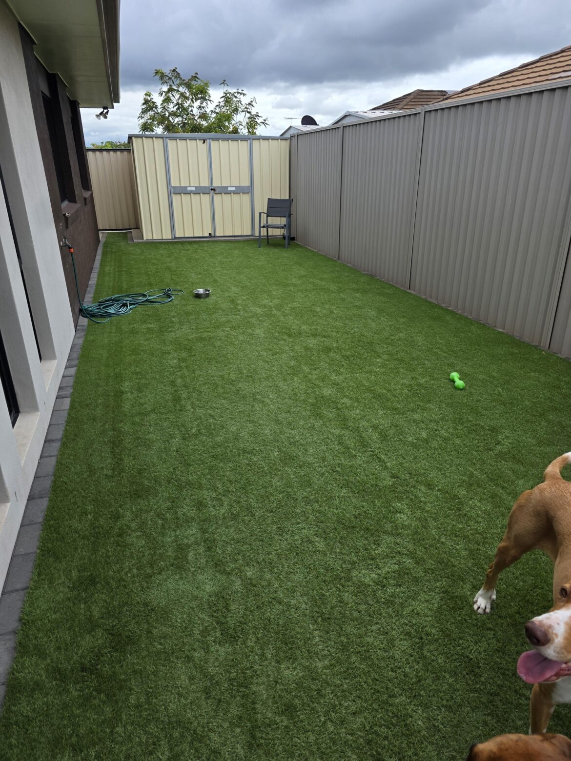 Replacing Astro with Buffalo