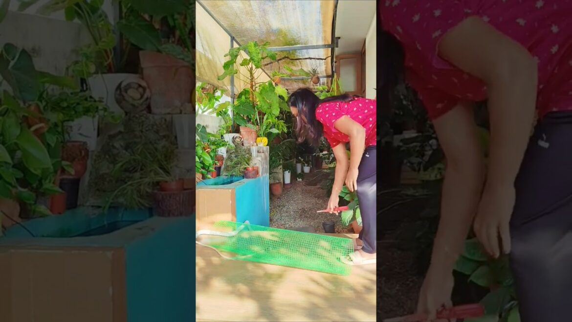 garden mesh idea #gardening #garden #gardendesign