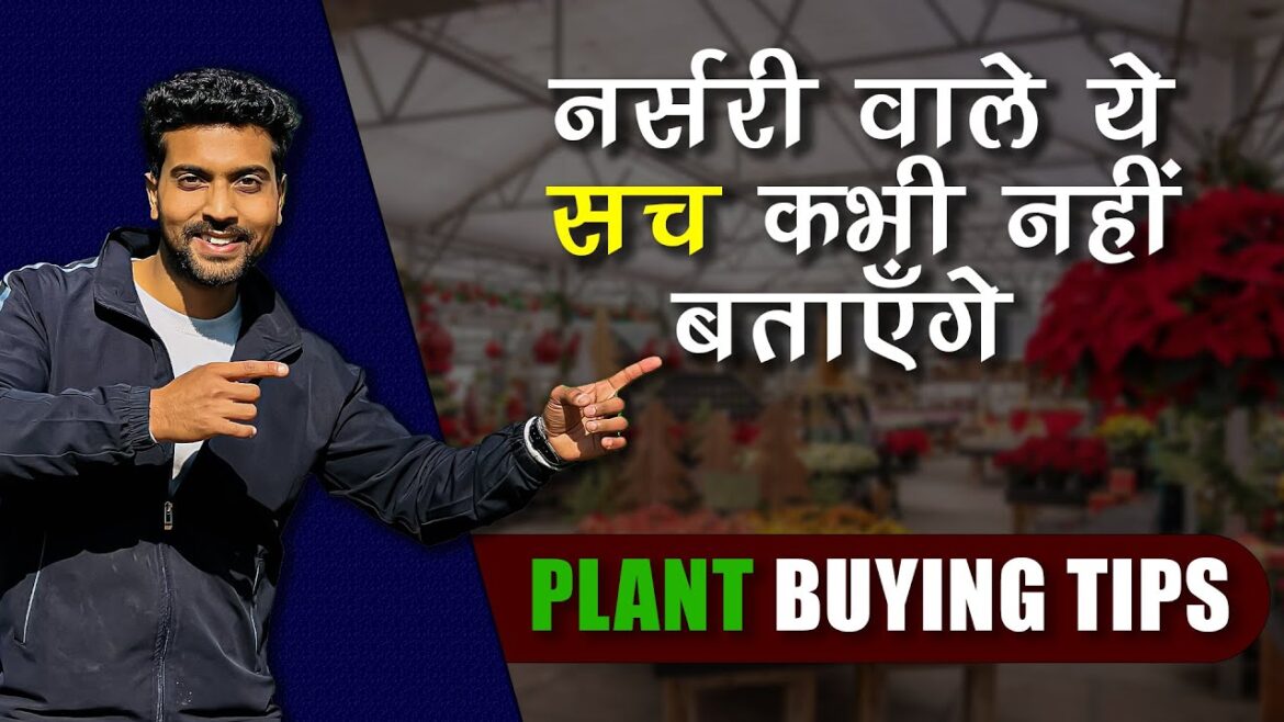 Nursery वाले ये सच कभी नहीं बताते 😱 | Plant Buying Tips