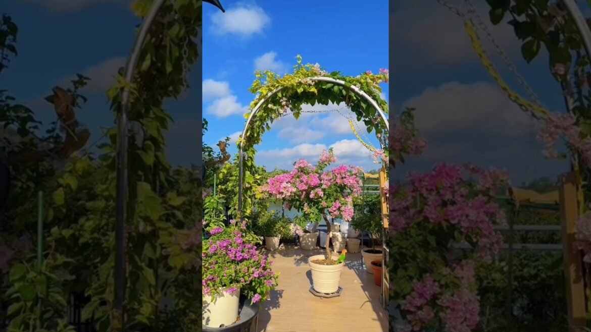 Next-Level Garden Decor Trends 🌿🔥 #gardening #asmr #plants #flower #garden #nature