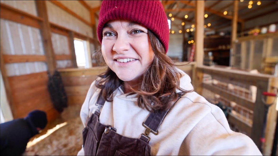 Roots and Refuge Farm: January Me vs Kitchen Me (and a lamb update) | VLOG January Me vs Kitchen Me (and a lamb update) | VLOG
