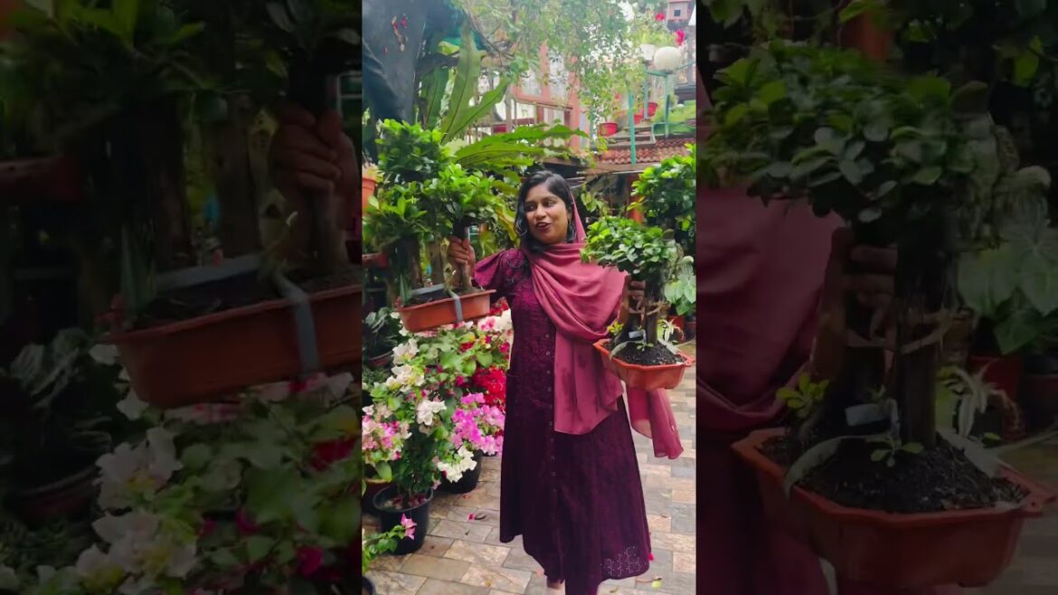 #8921939101 #garden #lifeisbutadream #gardendesign #gardening