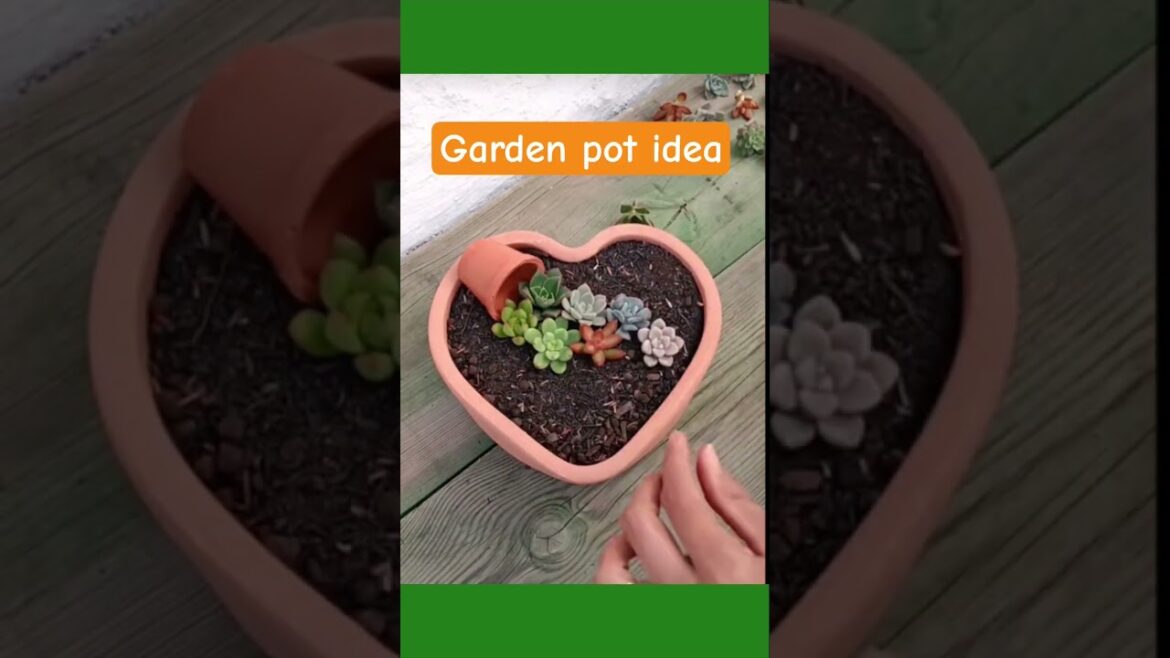 pot design ideas for garden #gardenplants #plants #easy
