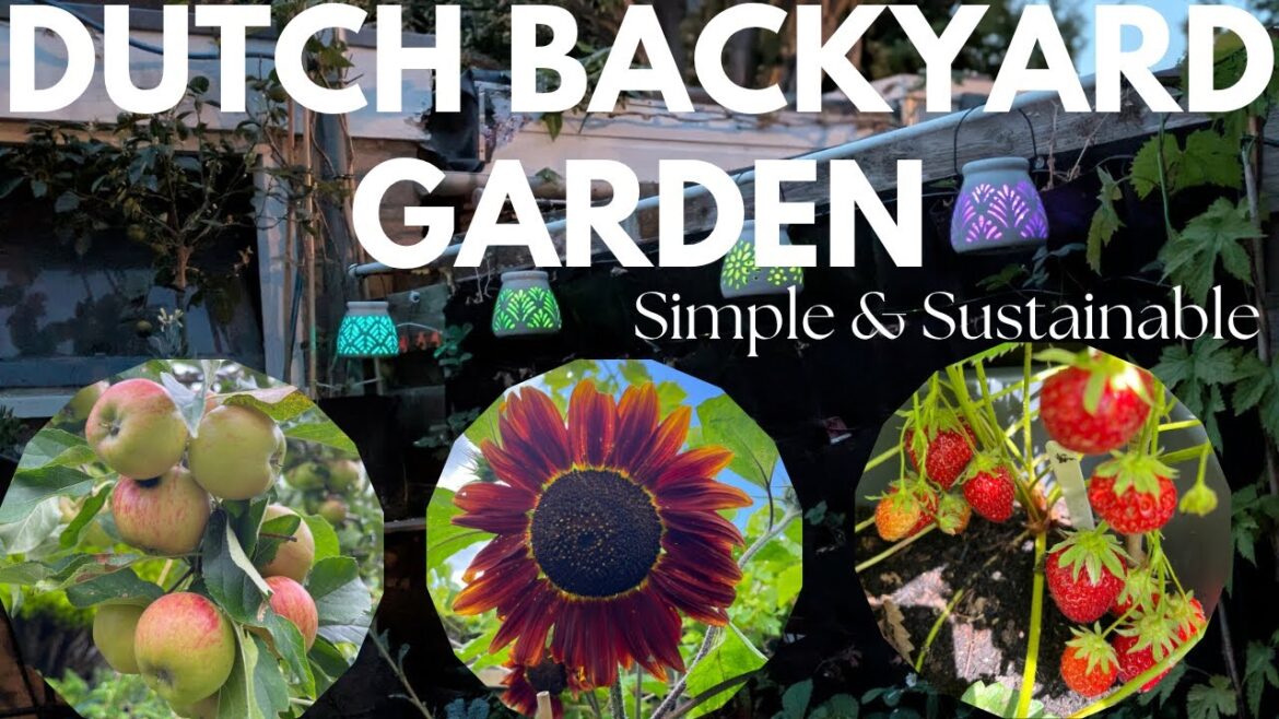 My Dutch Backyard Garden | Sustainable & Simple Living 🌿|Summer Garden Tour