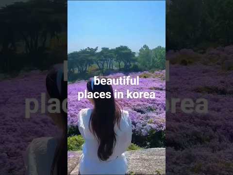 Most Beautiful Places in South Korea π°π·β¨#shorts#travel Most Beautiful Places in South Korea π°π·β¨#shorts#travel