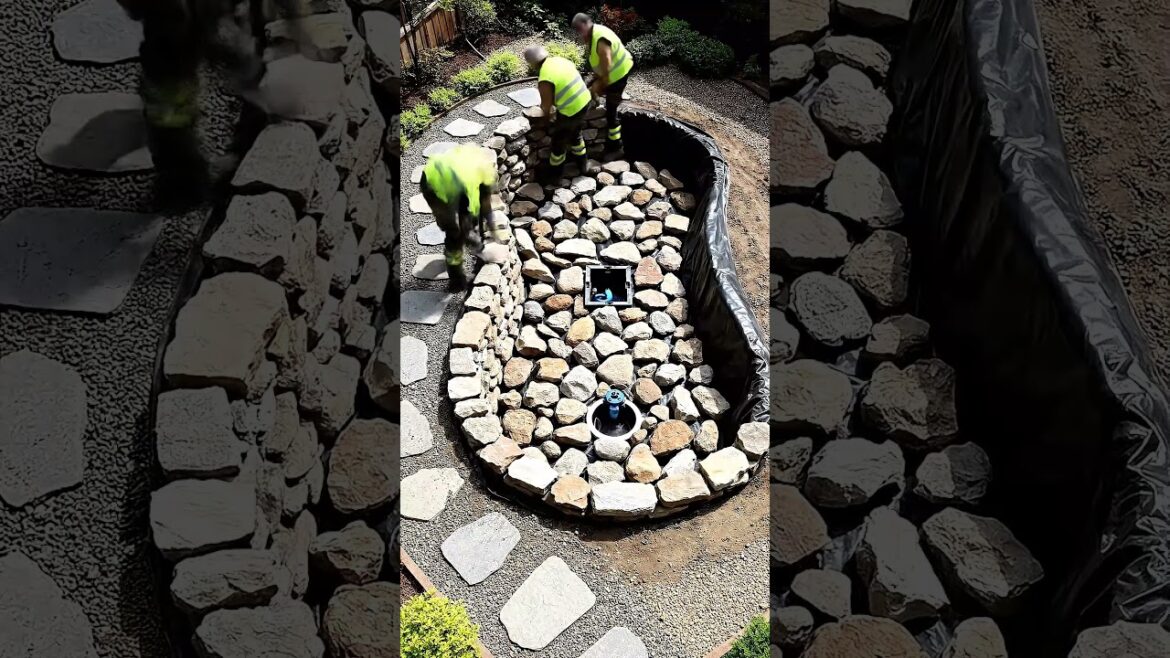 Pond Build Transformation: From Mud Pit to Koi Pond Oasis. #beforeandafter