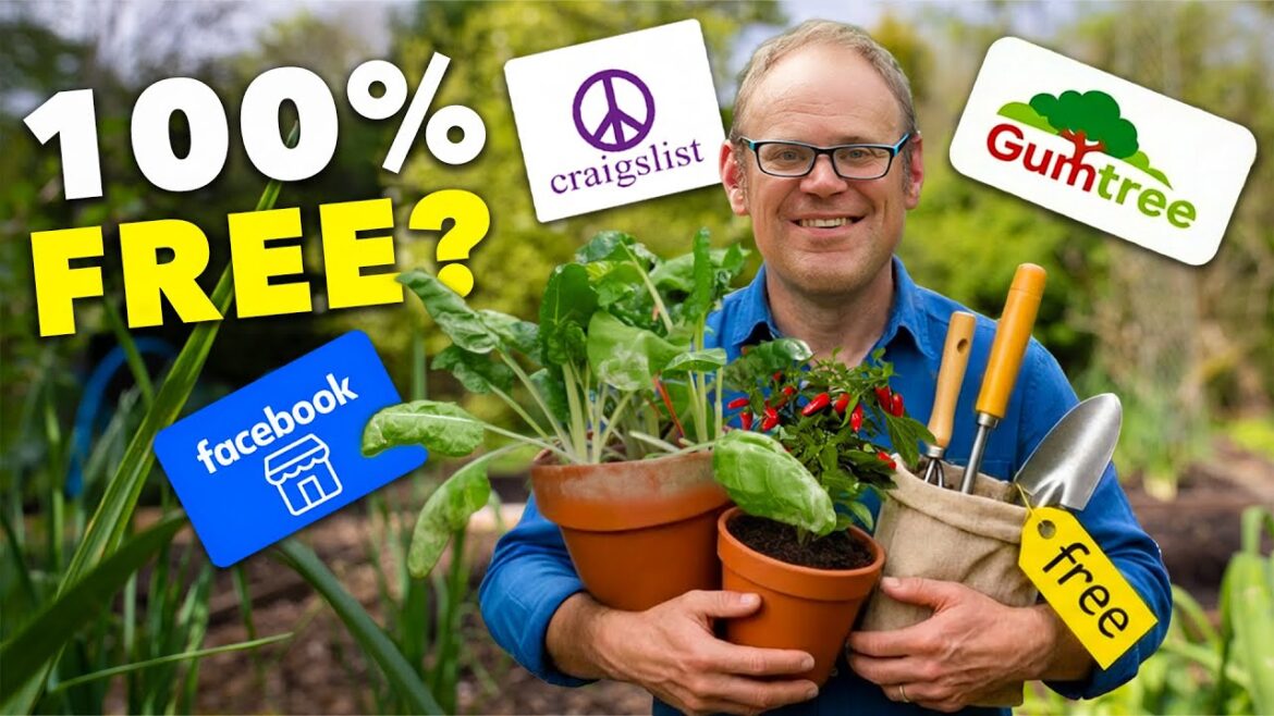 Can You Start a Garden in 2026 Without Buying Anything?
