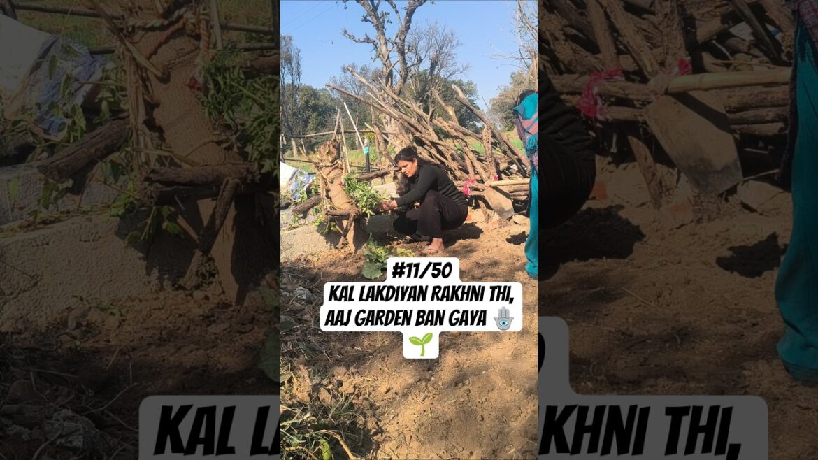 #12/50 Kal Lakdiyan Rakhni Thi, Aaj Garden Ban Gaya 🪬🌱