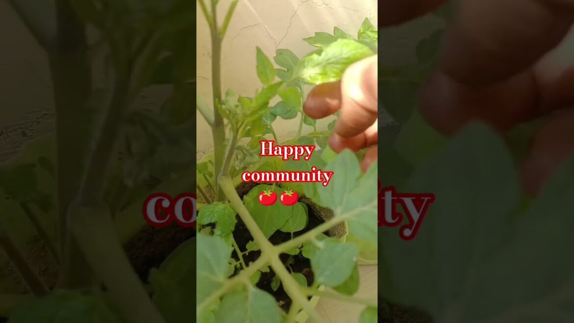 hobby gardener# Gardner #subscribe #