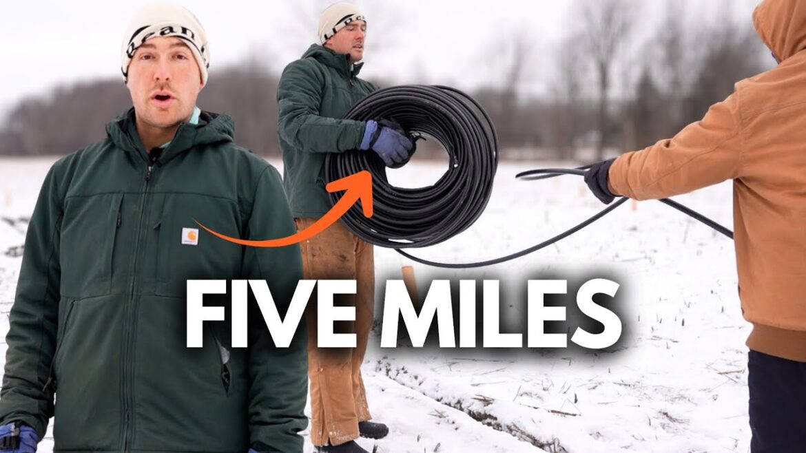 Just 2 Days to Do This Before The Farm FREEZES Over For Good