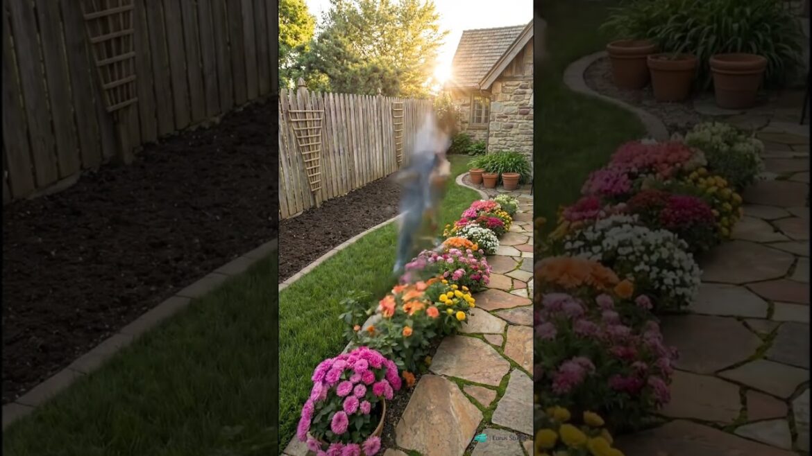 Eurus Studio: A Forgotten Garden Finds Beauty | Timelapse