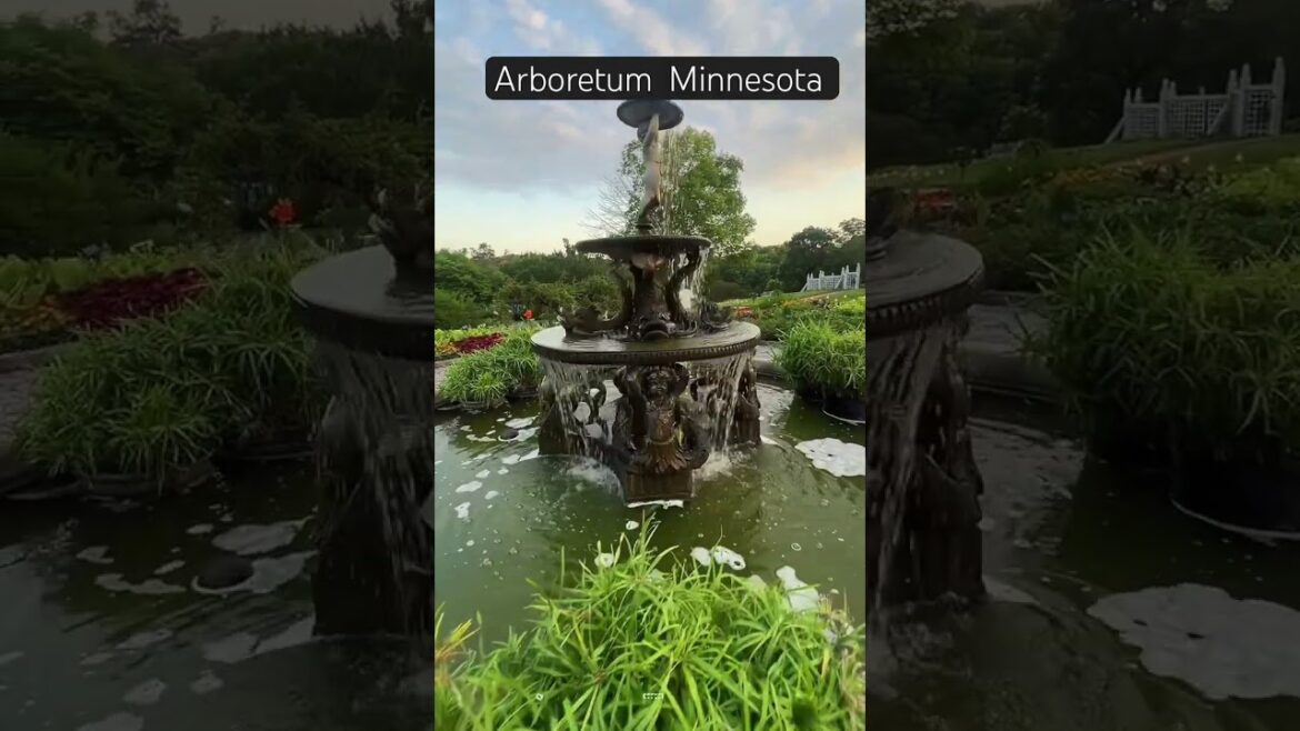 #arboretum #workaway #arboretum #workaway