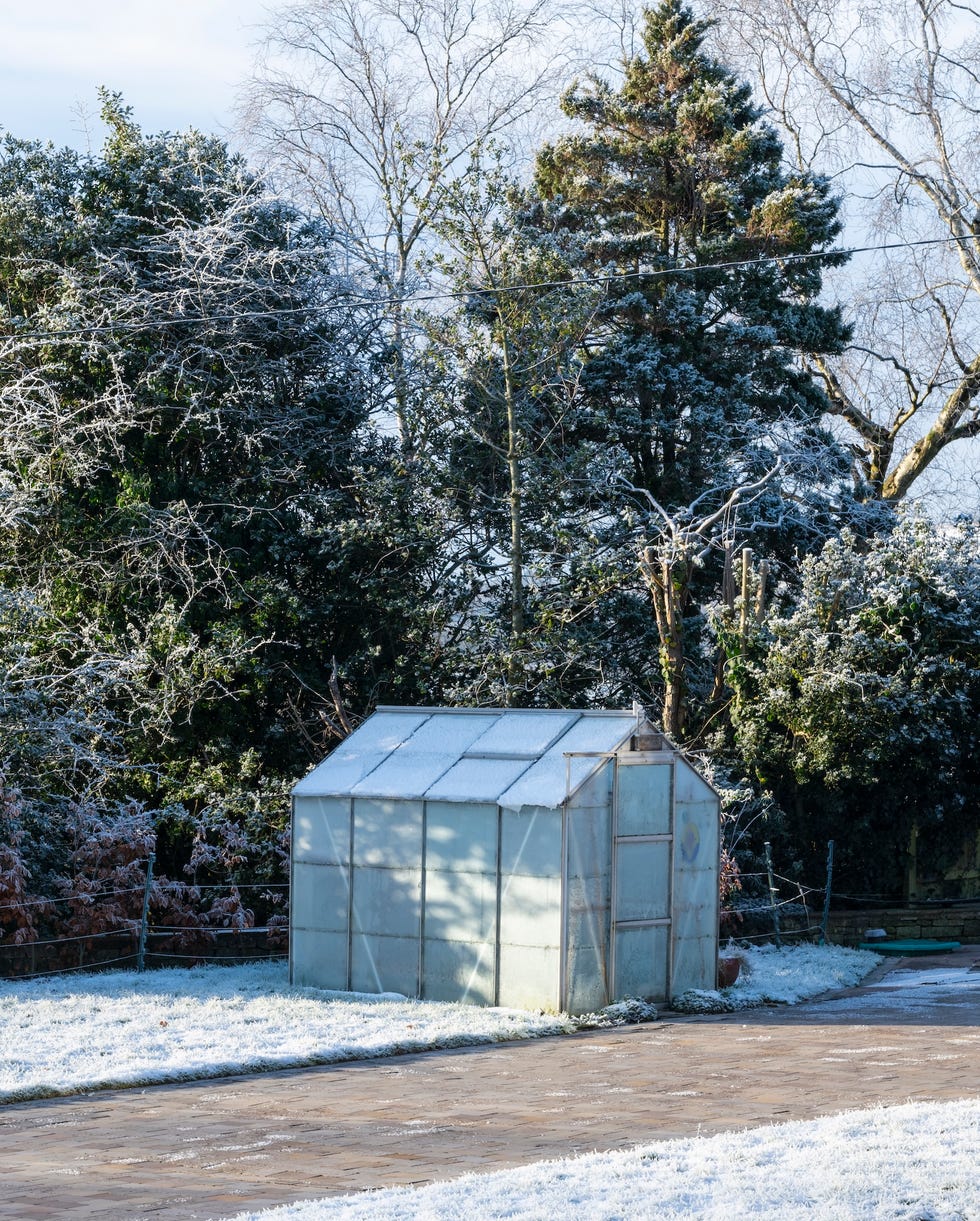 greenhouse in winter