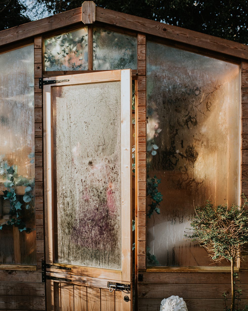 close up of an open greenhouse door reflecting warm, low winter light. the window is covered in condensation.