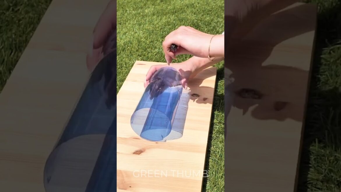 Battle of the Bottles: Building Wind-Resistant Greenhouses from Recycled Plastic