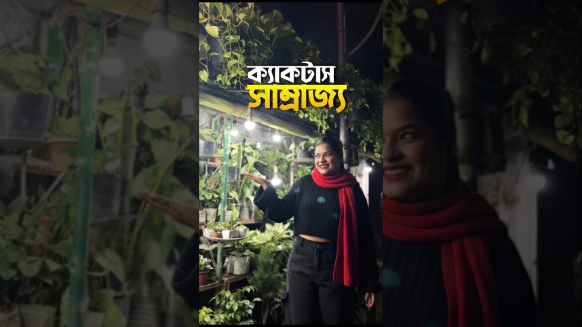 তোমাদের ক্যাকটাস ভালো লাগে? 🥴🌵#shorts #minivlog #bengali #lifestyle #gardening তোমাদের ক্যাকটাস ভালো লাগে? 🥴🌵#shorts #minivlog #bengali #lifestyle #gardening