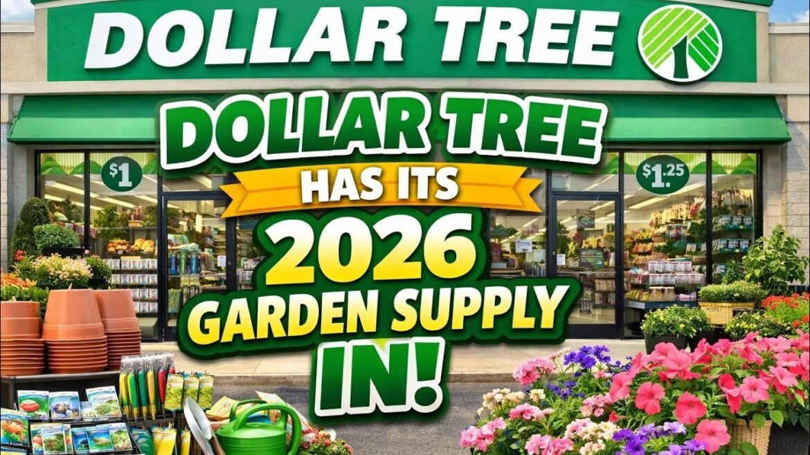 Dollar Tree New GARDEN SUPPLIES are Here!!