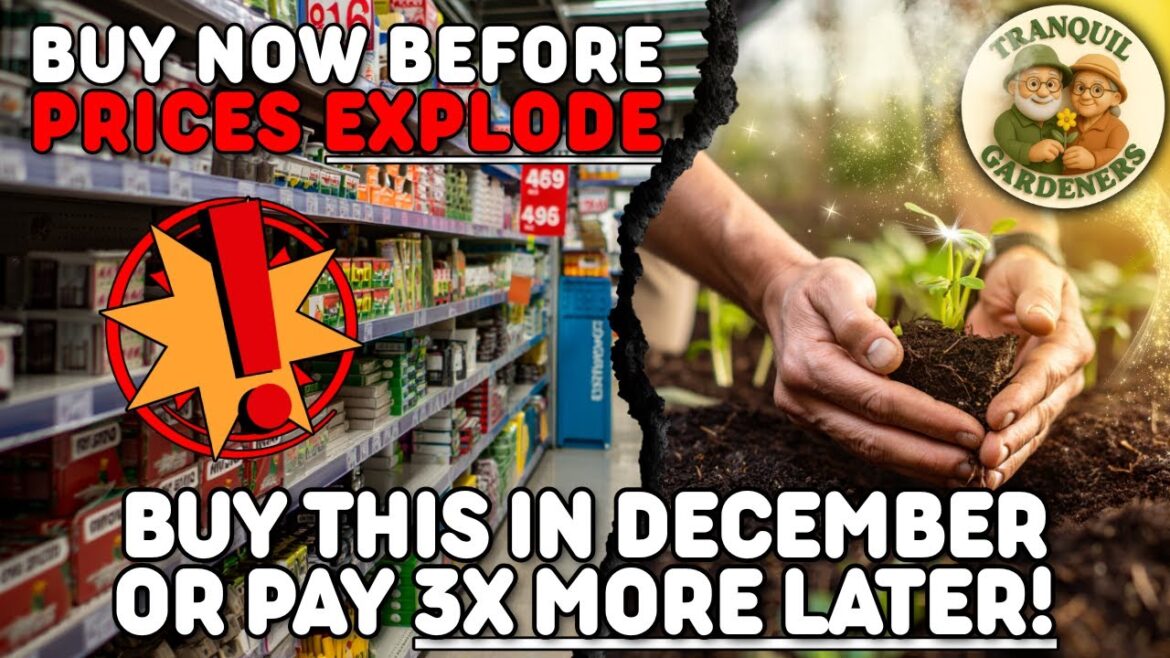 December’s Hidden Garden Sale — 8 Supplies That Triple in Price by Spring! December’s Hidden Garden Sale — 8 Supplies That Triple in Price by Spring!