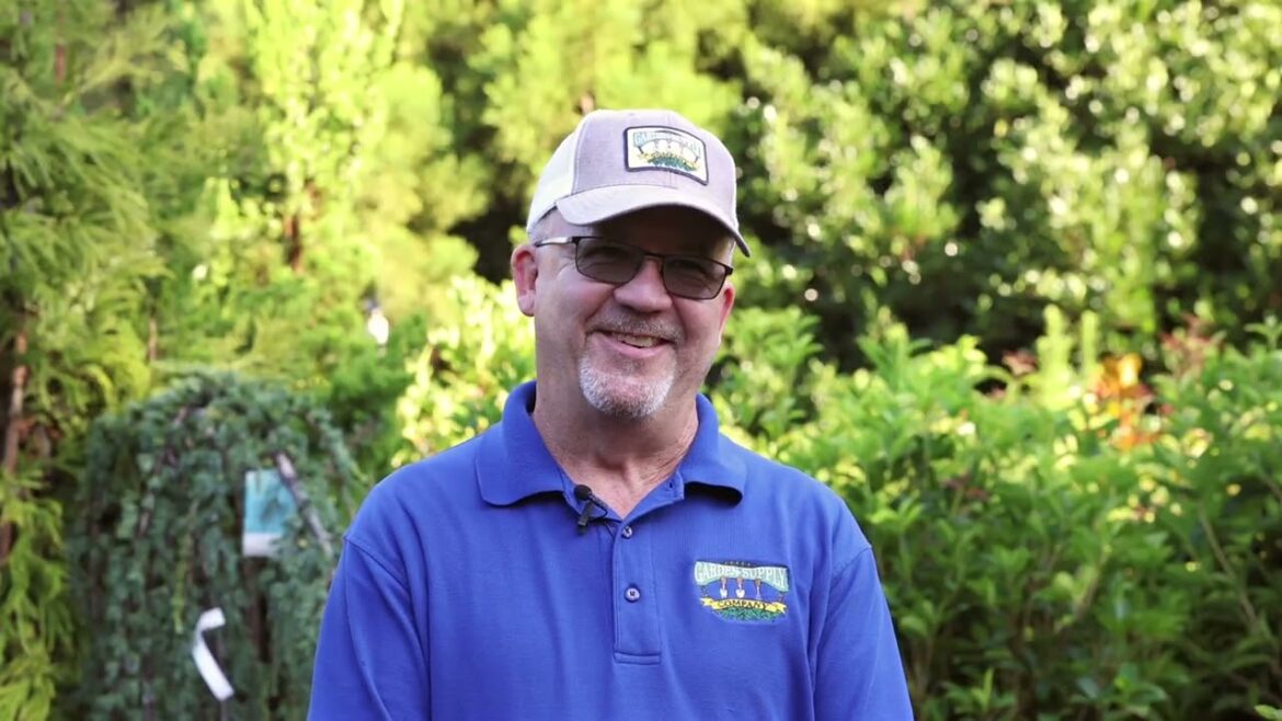 Best Privacy Screening Plants for North Carolina | Expert Tips for Triangle Yards