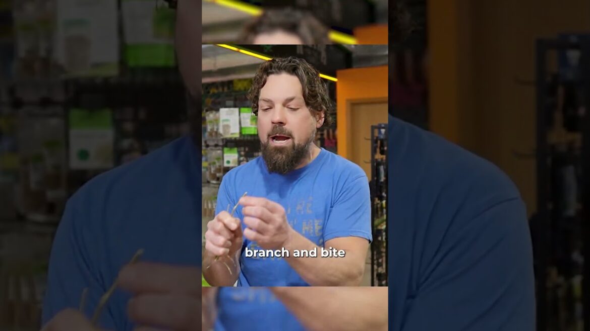 Bite Test for the Perfect Cure! When to Move from Drying to Curing