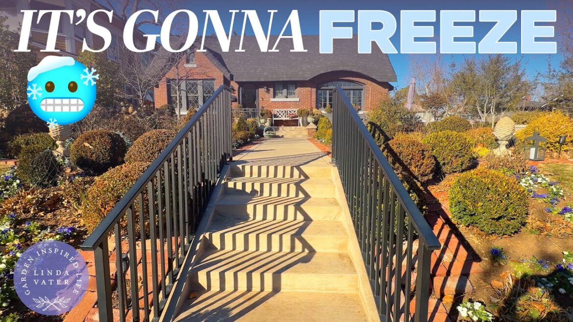 What Should I Do Before This Arctic Freeze? ❄️ | Garden + Home Prep | Linda Vater