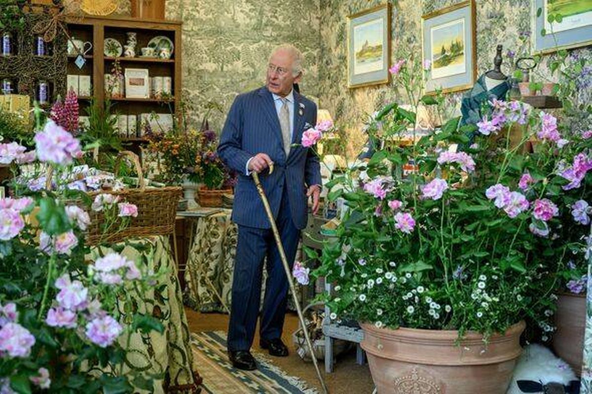 Chelsea Flower Show 2025