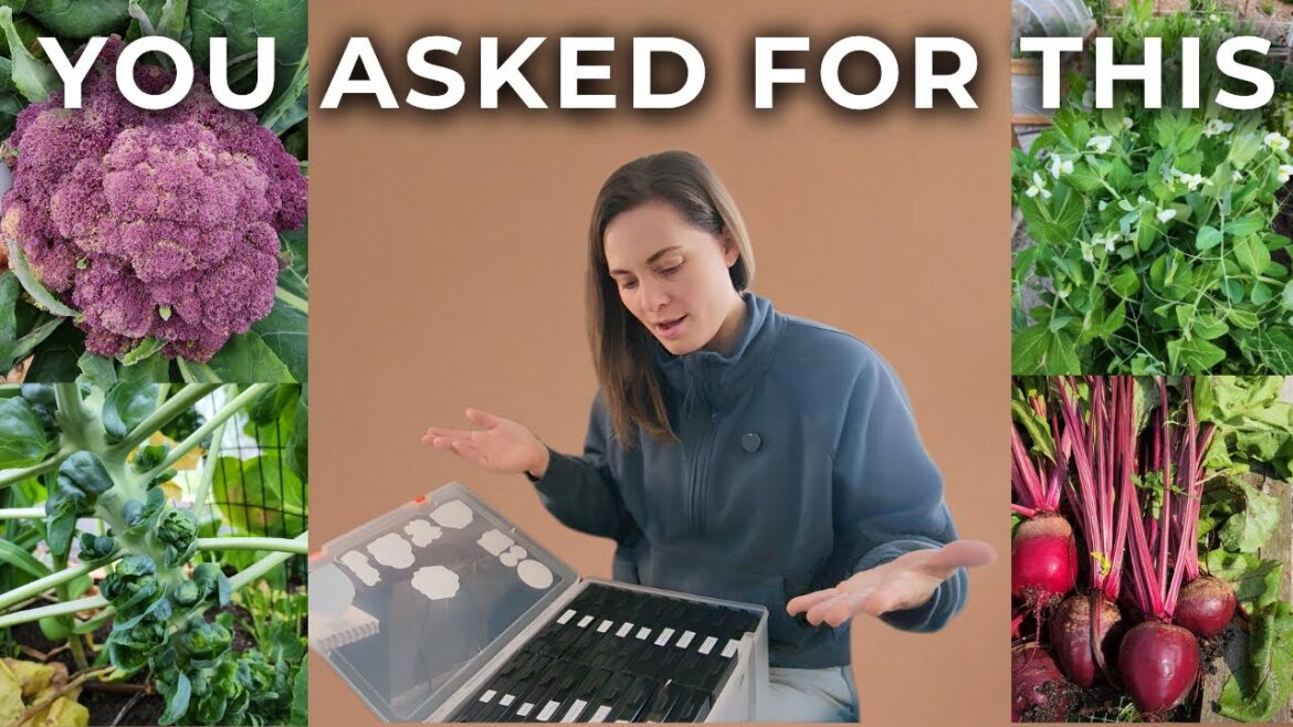 Settling In With Seeds | Seed Collection Tour & 2026 Garden Plans