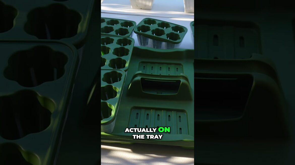 Seed Starting Success: Design a Winter Harvest Garden Plan #shorts