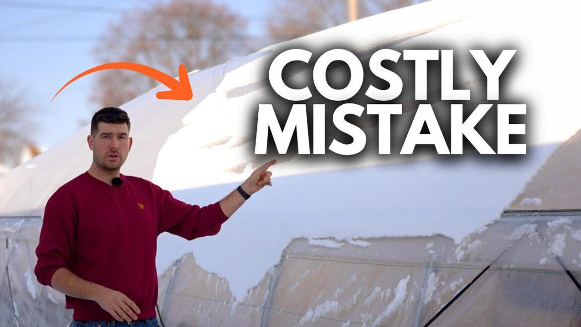 MIgardener: Don’t Buy The WRONG Greenhouse Watch This First Don't Buy The WRONG Greenhouse Watch This First