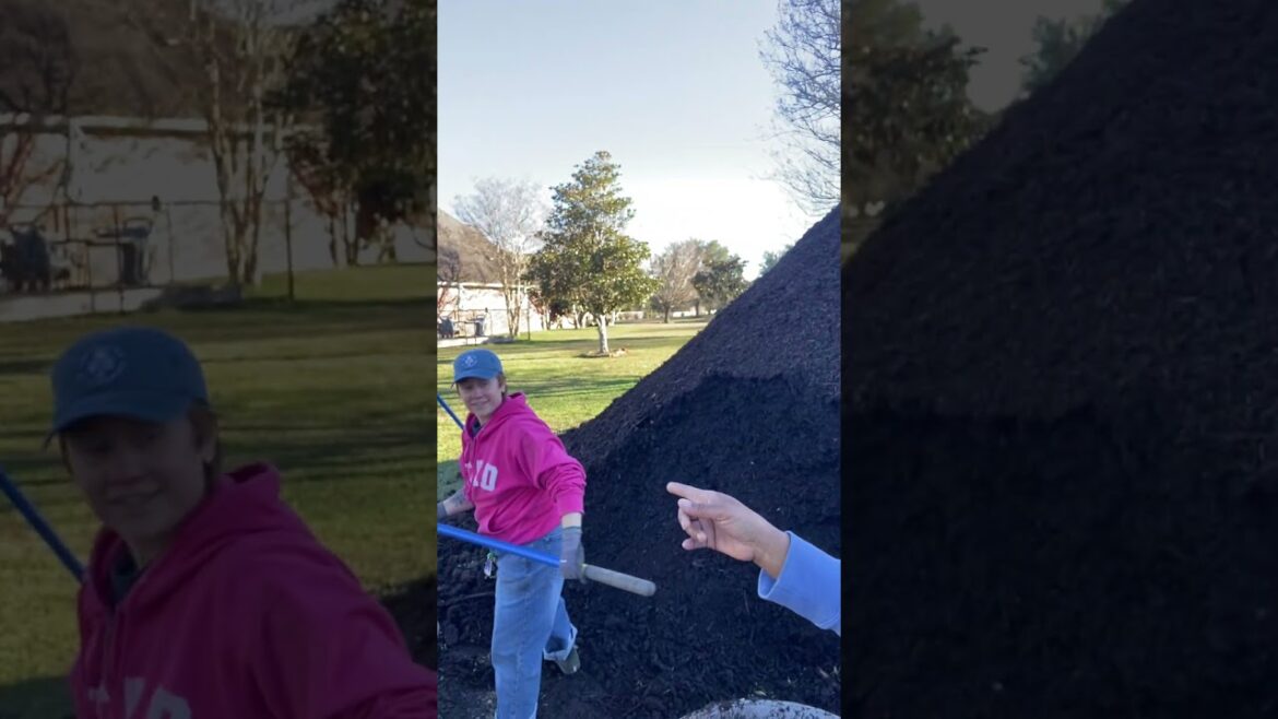 Day 1: Market Garden Buildout (Clayy & Mads) #gardening #backyard #diy #garden #lawn  12.30.25