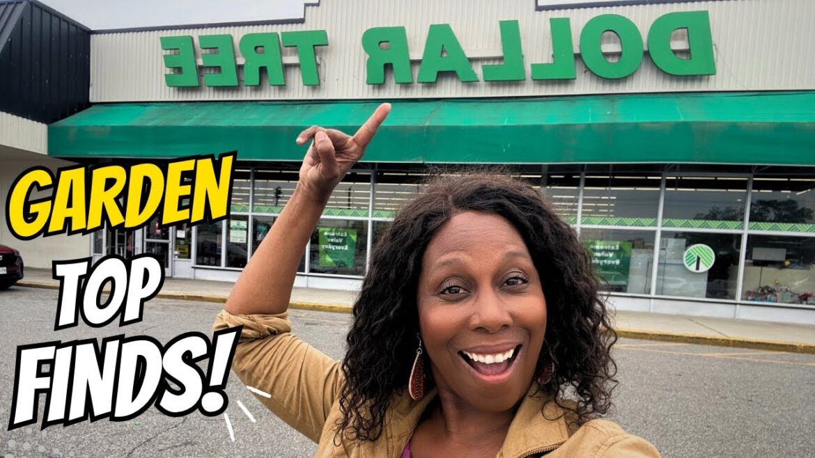 Top 5 Dollar Tree Garden Hacks You’ll Regret Not Using This Summer” 🪴