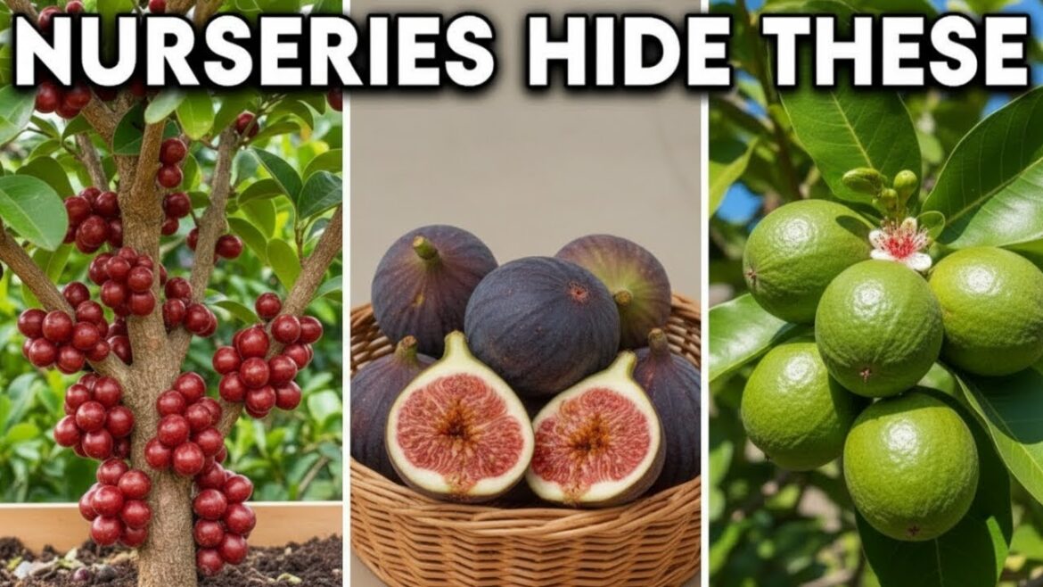 7 Fruit Plants That Produce DOUBLE — and No One Sells Them