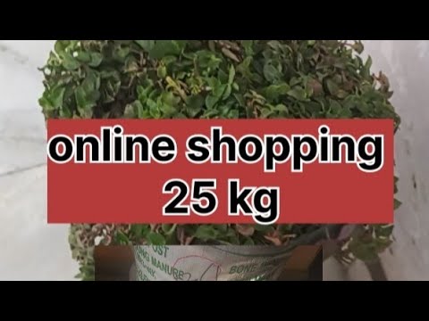 हमने Online से Garden सामान मंगाया | Honest Review हमने Online से Garden सामान मंगाया | Honest Review