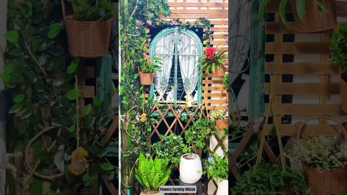 Must Watch Home Garden Decor Trends ✨🪴🌼 #gardening #homegarden #decor #trend #youtubeshorts