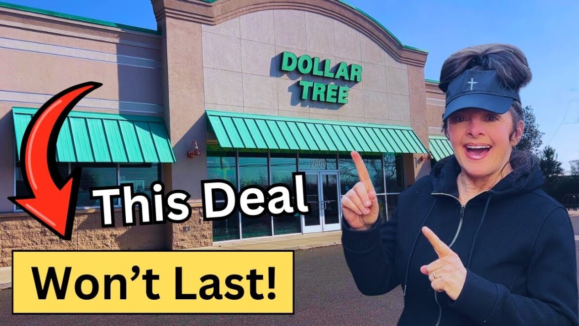 Dollar Tree Garden Supplies | BEST DEAL of the YEAR!