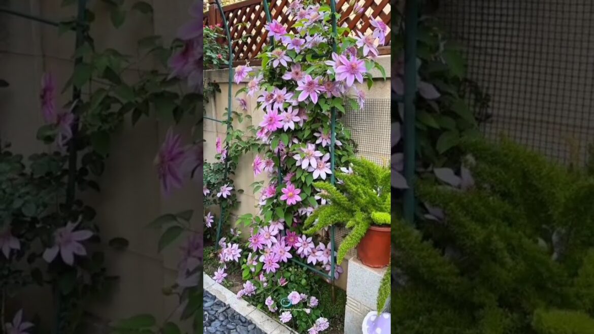 Viral Home Gardening Trends Right Now 🌿🔥#gardening #shorts #viral #trending