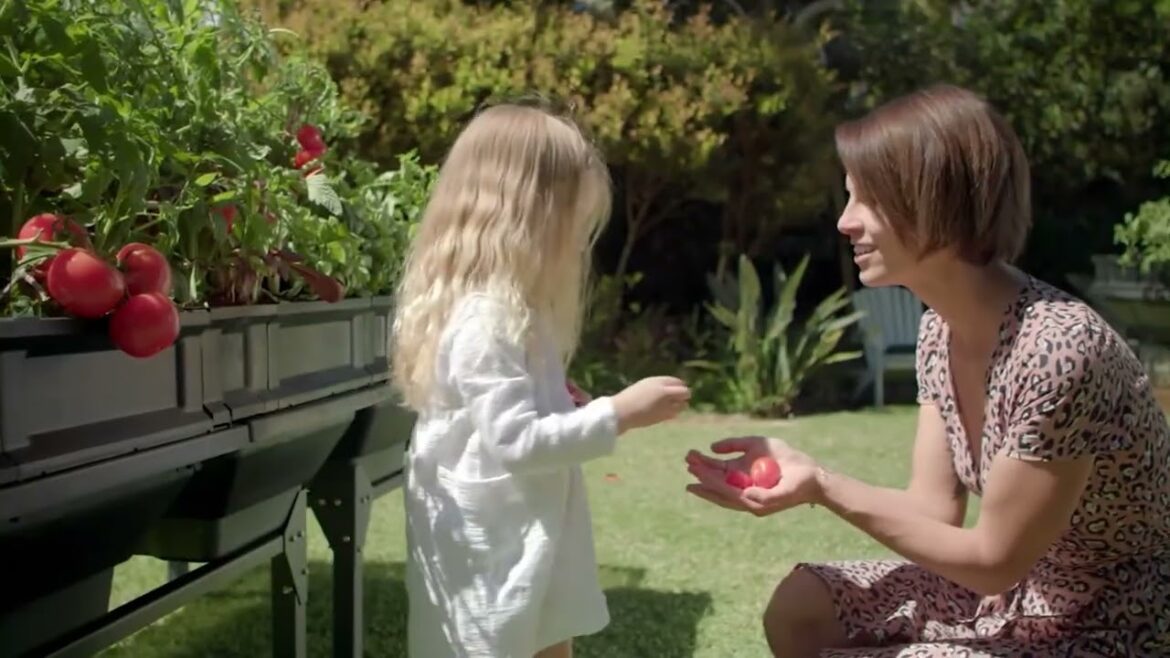 Vegepod Self-Watering Small Container Garden with Stand & Cover on QVC