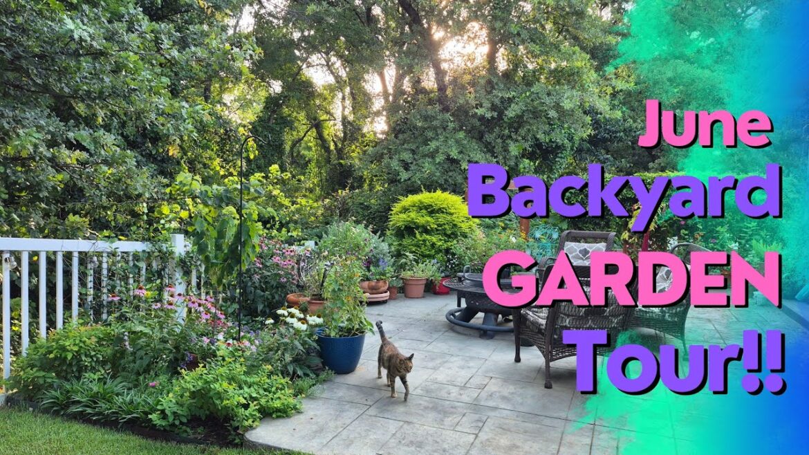 June '25 Backyard Garden Tour! The Garden at it's BEST! #northtexasgarden #gardentour