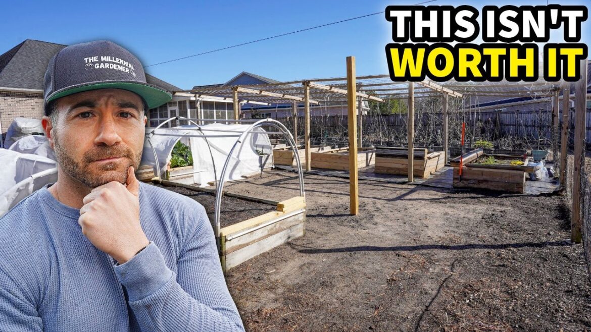 4 Reasons I'm NOT Gardening In 2026