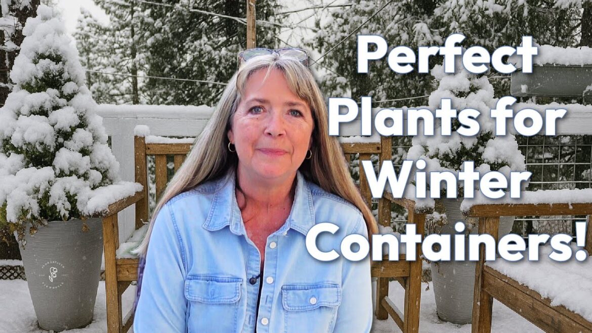 10 Hardy Plants for Winter Containers That Survive Cold Weather! 10 Hardy Plants for Winter Containers That Survive Cold Weather!