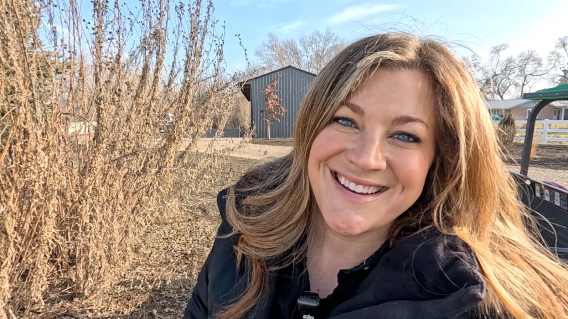 Cutting Back Massive Perennials, Repotting Houseplants & Separating Pansy Seedlings! 💪🪴🌱