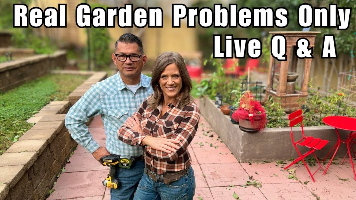 CaliKim: Real Garden Problems Only: Live Q&A With CaliKim & CameraGuy Real Garden Problems Only: Live Q&A With CaliKim & CameraGuy