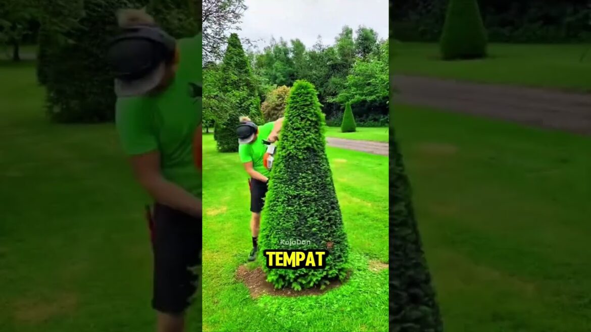 kerja potong rumput yang sering diremehkan