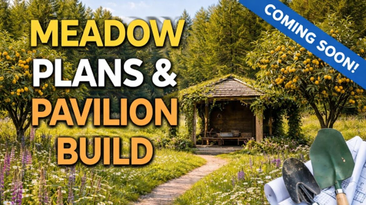 Watch Our Pavilion & Wildflower Meadow Garden Plans Revealed! Watch Our Pavilion & Wildflower Meadow Garden Plans Revealed!
