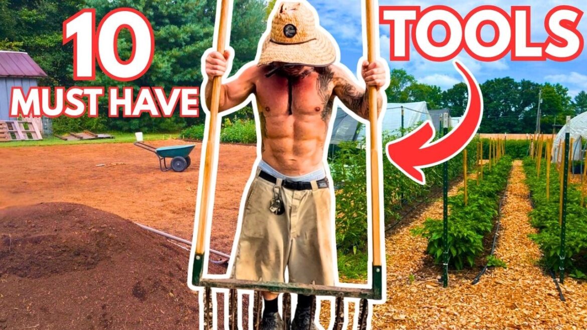 The ONLY 10 Tools You Need To Start A Market Garden (Under $2000) The ONLY 10 Tools You Need To Start A Market Garden (Under $2000)