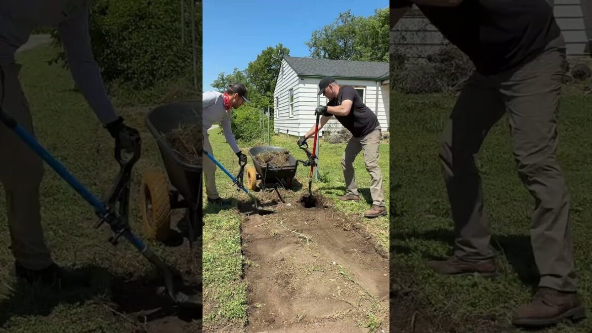 We Dug for HOURS and Removed over 4,000 POUNDS OF DIRT