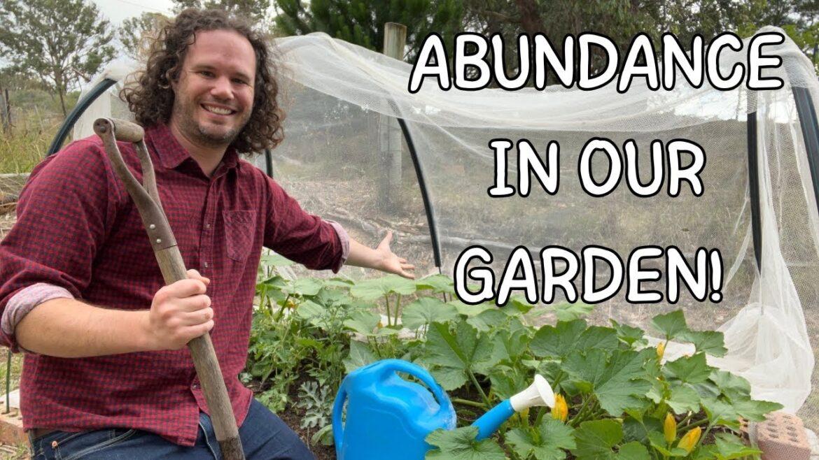 Inside Our Summer Garden 2025 | Wins, Fails & Hot Weather Gardening Tips