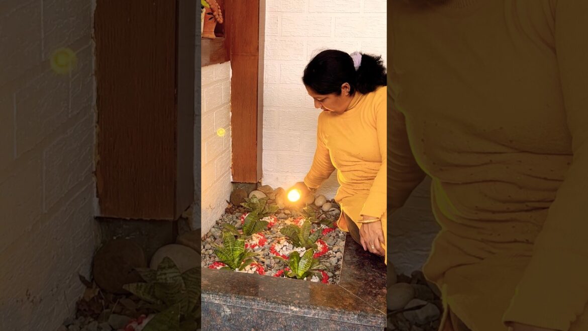 Creative gardening ideas #creative #garden #landscape #homegarden #homegardening #shorts