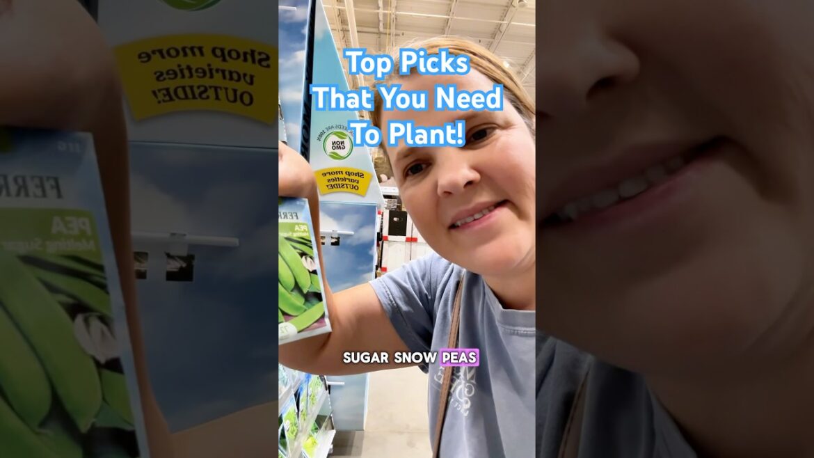 ITS NOT TOO LATE! #gardening  #beginnergardener #fallharvest #kitchengarden #fallgarden #shorts